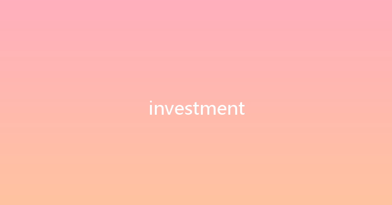 investment 